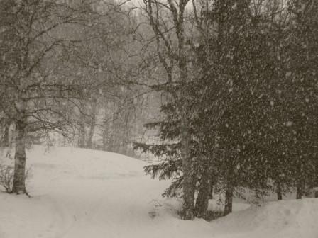 [Copy+of+snow+002.JPG]
