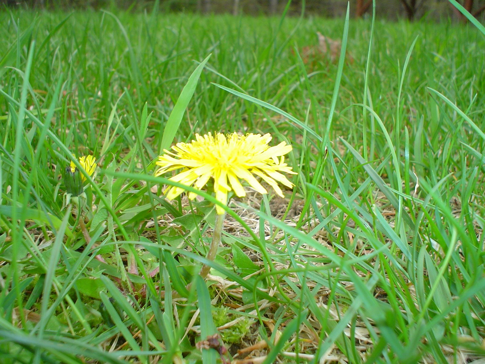 [DSC07095.JPG]