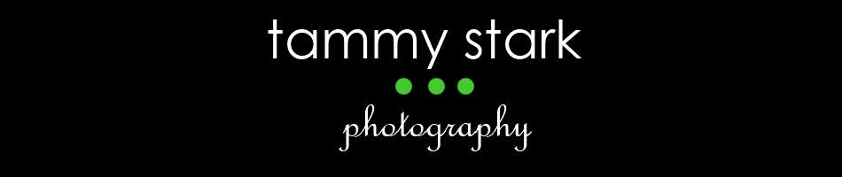 Tammy Stark Photography