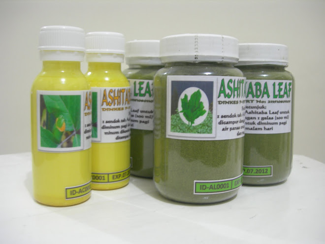 Ashitaba Chalcone and Ashitaba Leaf