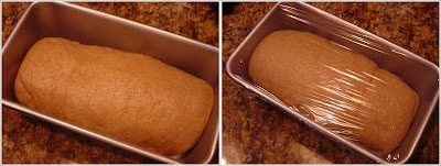 The Teacher Learns to Cook: 100% Whole Wheat Sandwich Bread