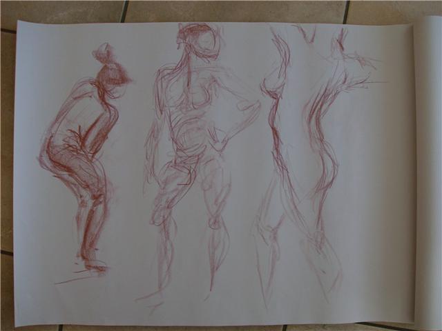 [fig1.jpg]