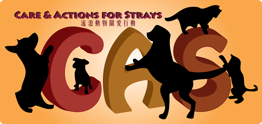 Care & Actions for Strays