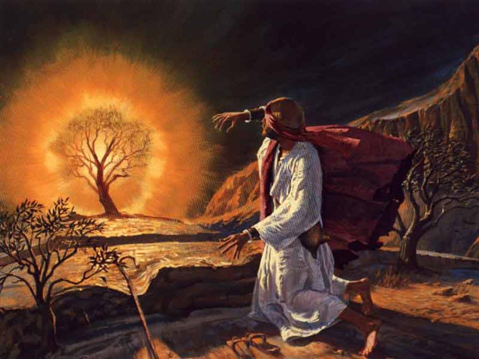 God Loves Kids: Moses' Staff