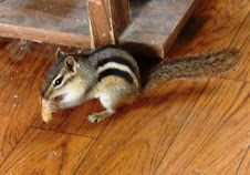 Rose Invites Herself into the House