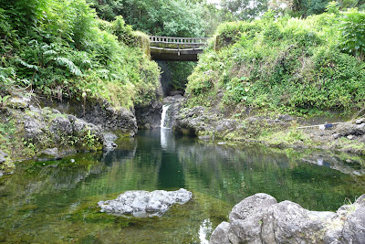 koi-pond-maui-2.jpg