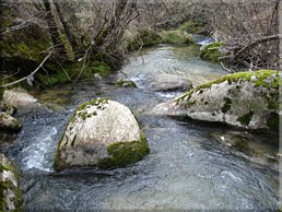 Río del Molino