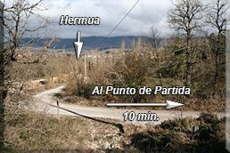 Pista parcelaria