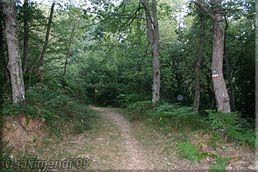 Caminando por el GR-25