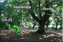 Bordeamos la alambrada