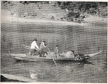 Pesca da Lampreia e Sável em Rio Mau