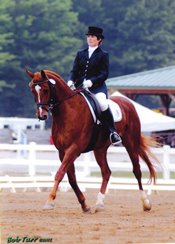 [dressage1.jpg]