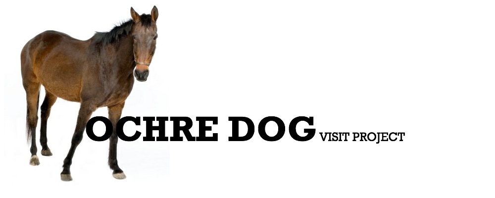 Ochre Dog Visit
