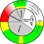 Natural Family Planning