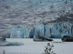 Picture of Mendenhall Glacier in Juneau, AK