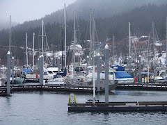 Boats in Juneau