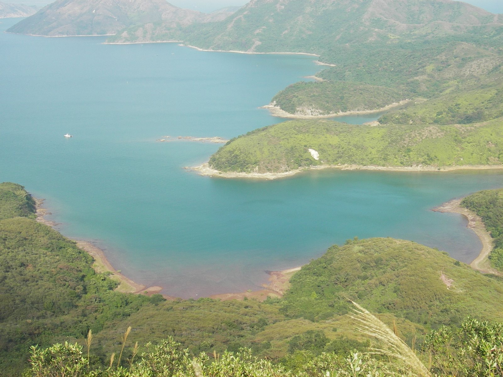 [IMGP2274.JPG]