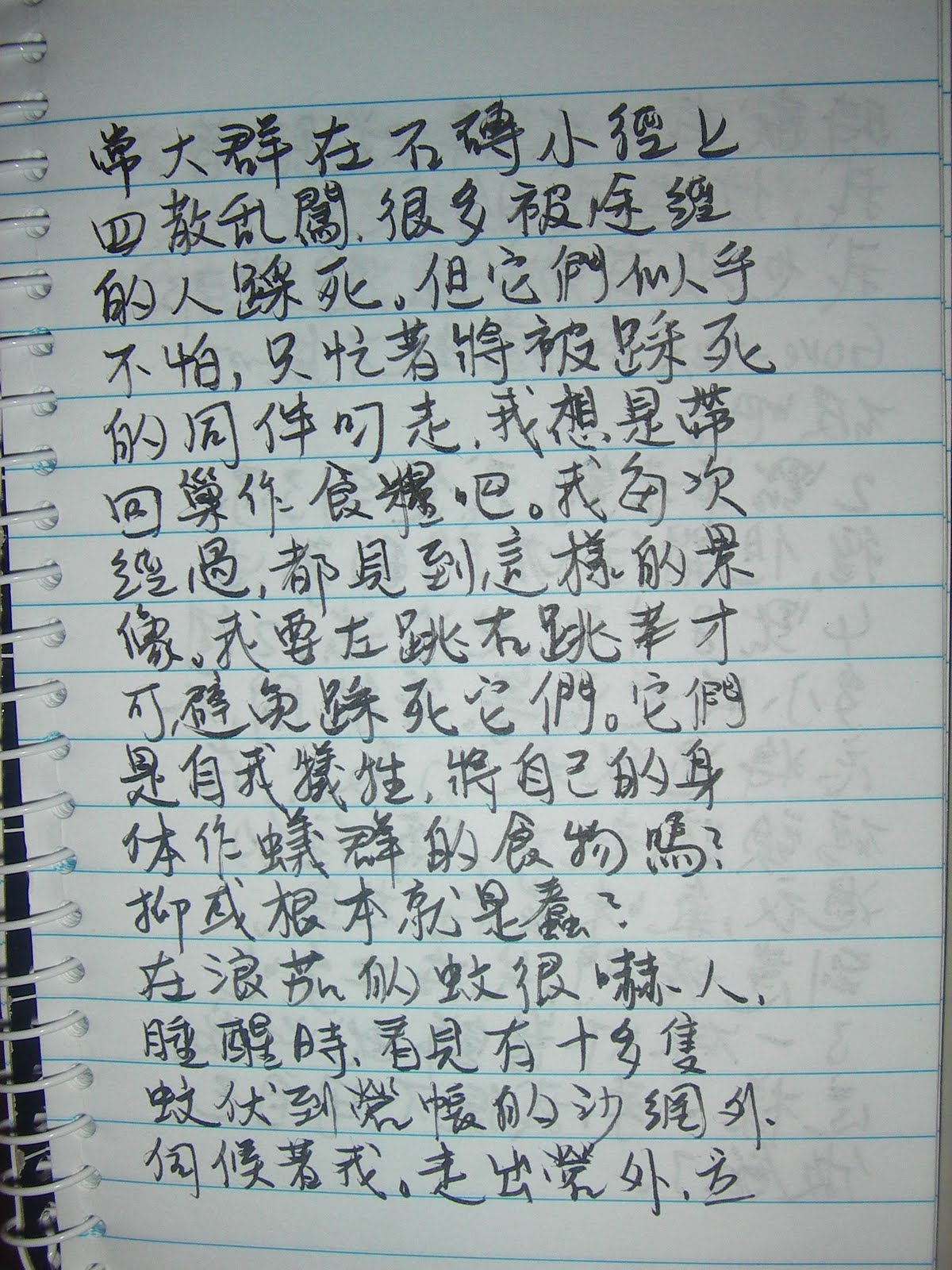 [IMGP5392.JPG]
