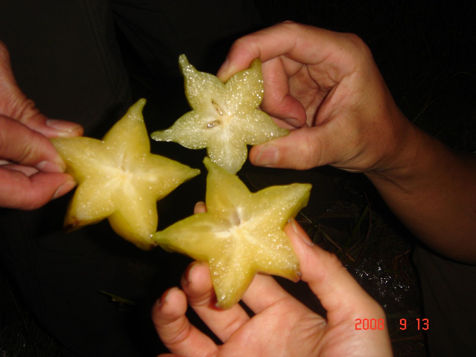[DSC07633.JPG]