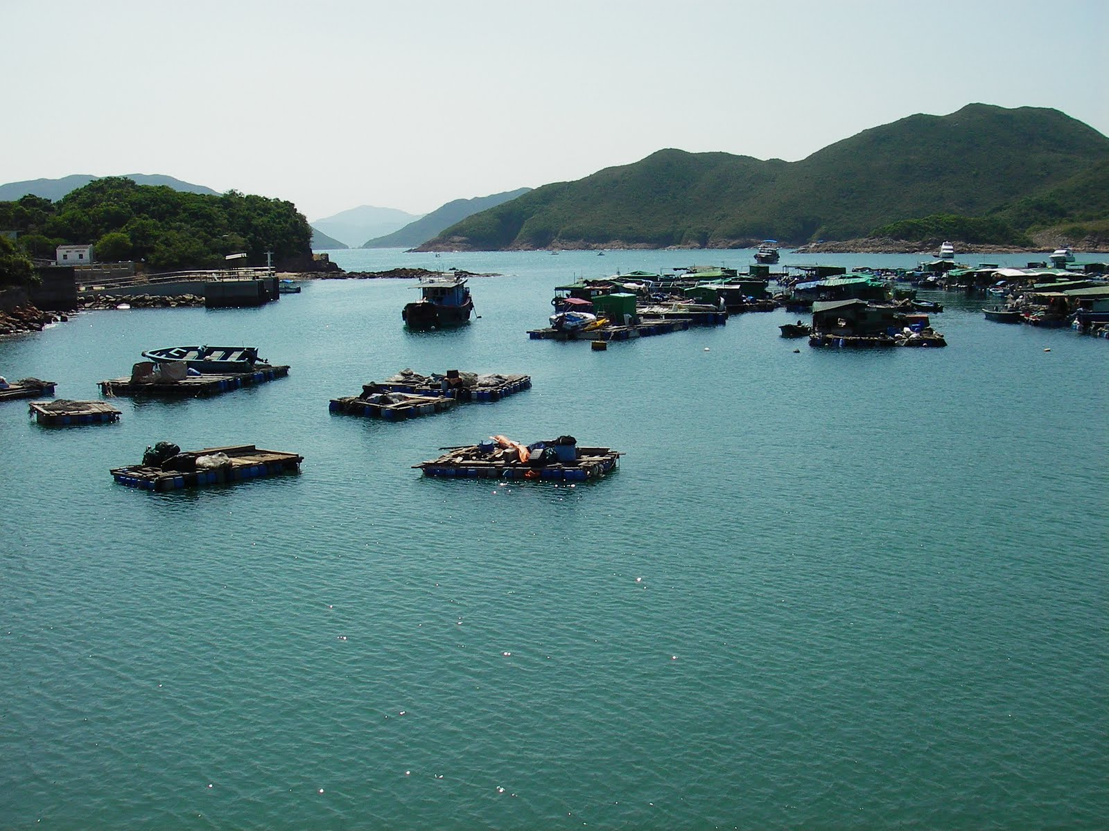 [IMGP4879.JPG]