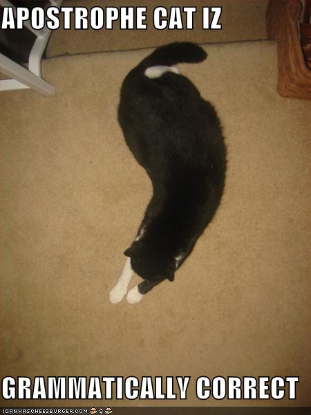 apostrophecat.jpg
