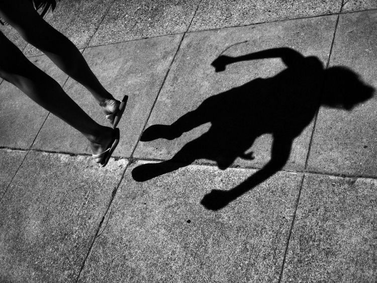 [light-and-shade-08.jpg]