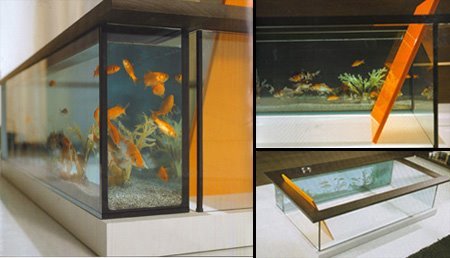 [Aquariums-06.jpg]