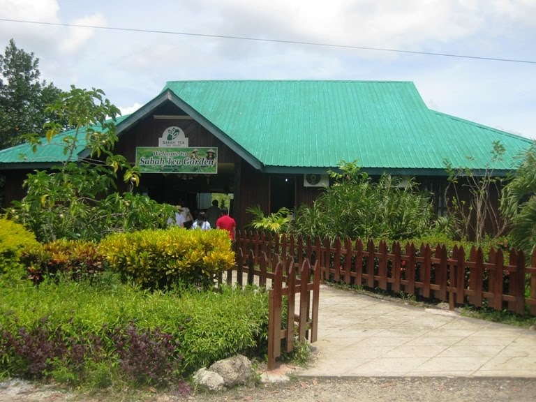 KINABALU: SABAH TEA GARDEN