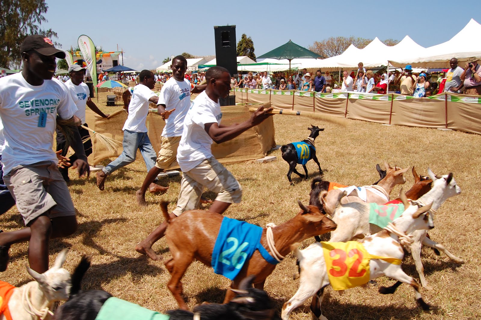 McKenya: A Day at The Races in Kenya: The Goat Derby