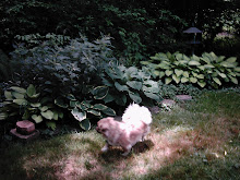 DeDe In Patch of Sunlight