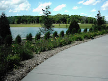 Landscape At Coxhall Gardens