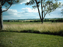 A Distant View