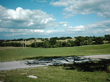 Sky And Meadow