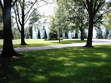 Shade On The Lilly Lawn