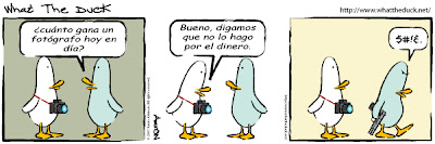 Tira cómica - What The Duck - en Castellano