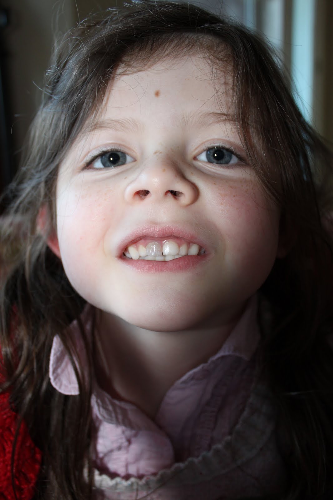 Koinonia the gray tooth