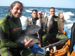 medregales, pargos, etc