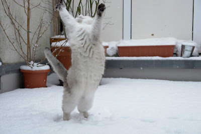 Let's dance! by Tscherno from flickr (CC-BY)