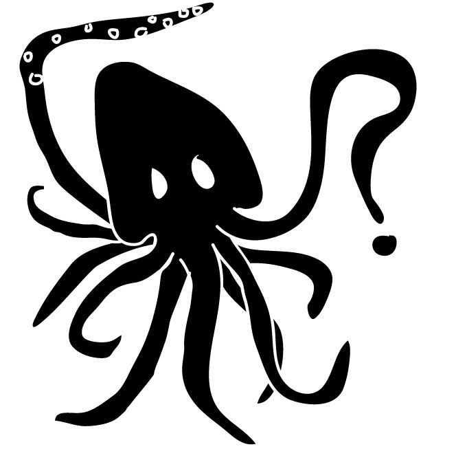 [squid_question_mark1.jpg]