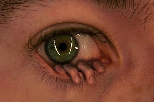 [the+eye.jpg]