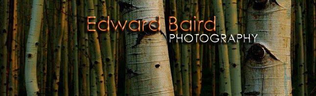 Edward Baird Photography