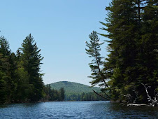 View from my kayak...