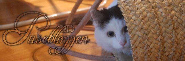 Pusebloggen
