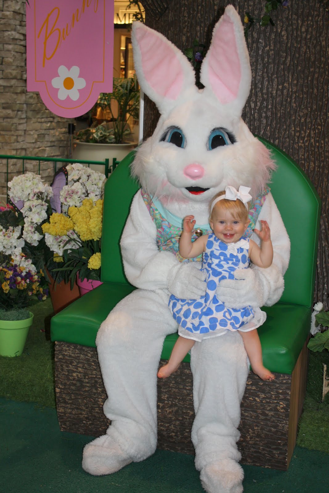From Dogs to Baby Spring Hill Mall Easter Bunny