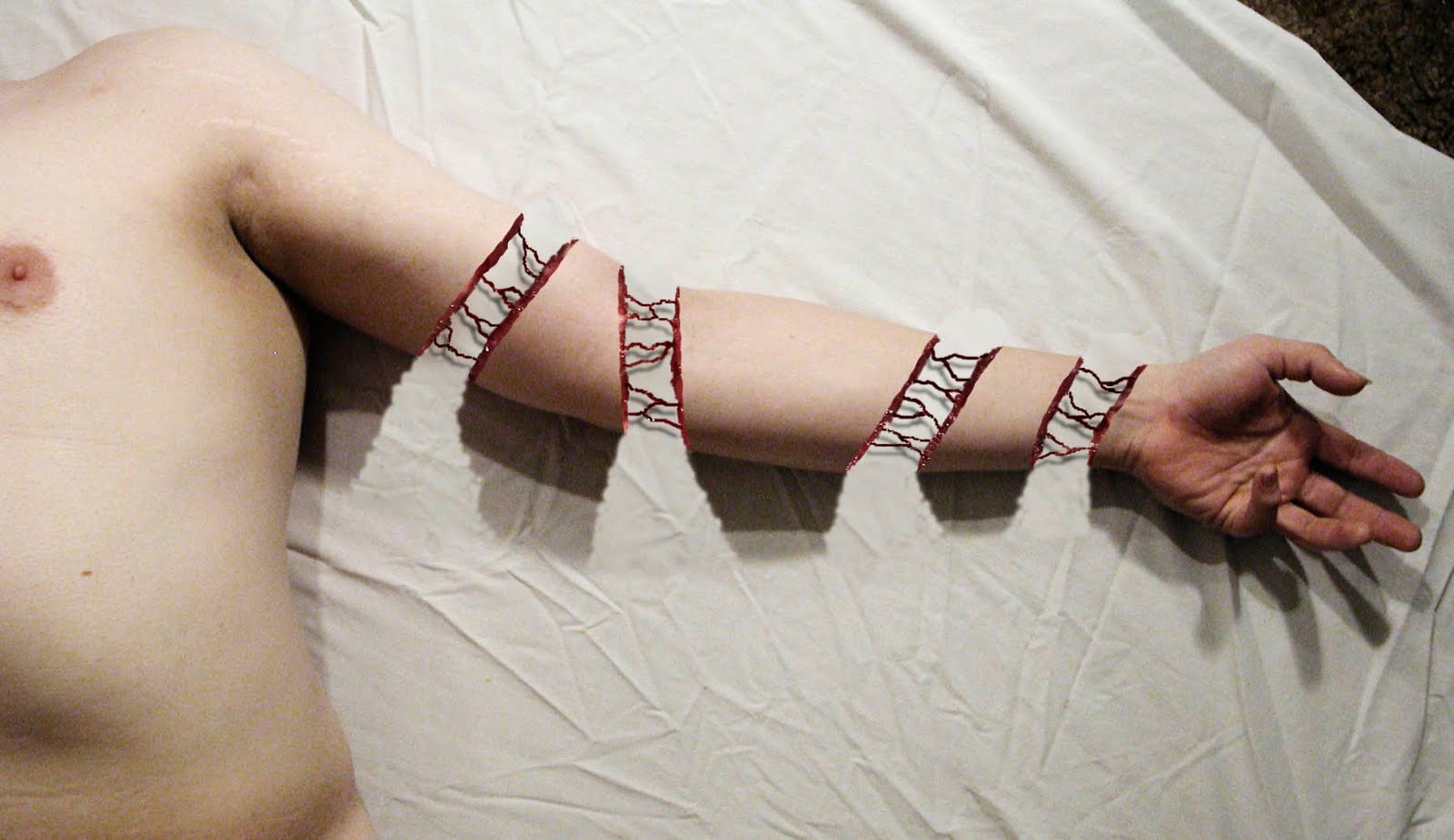 Ross' Media Arts Blog Severed Arm