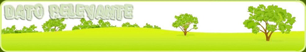 Dato Relevante