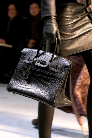 Well That's Just Me ...: Hermes Fall 2010 Bags