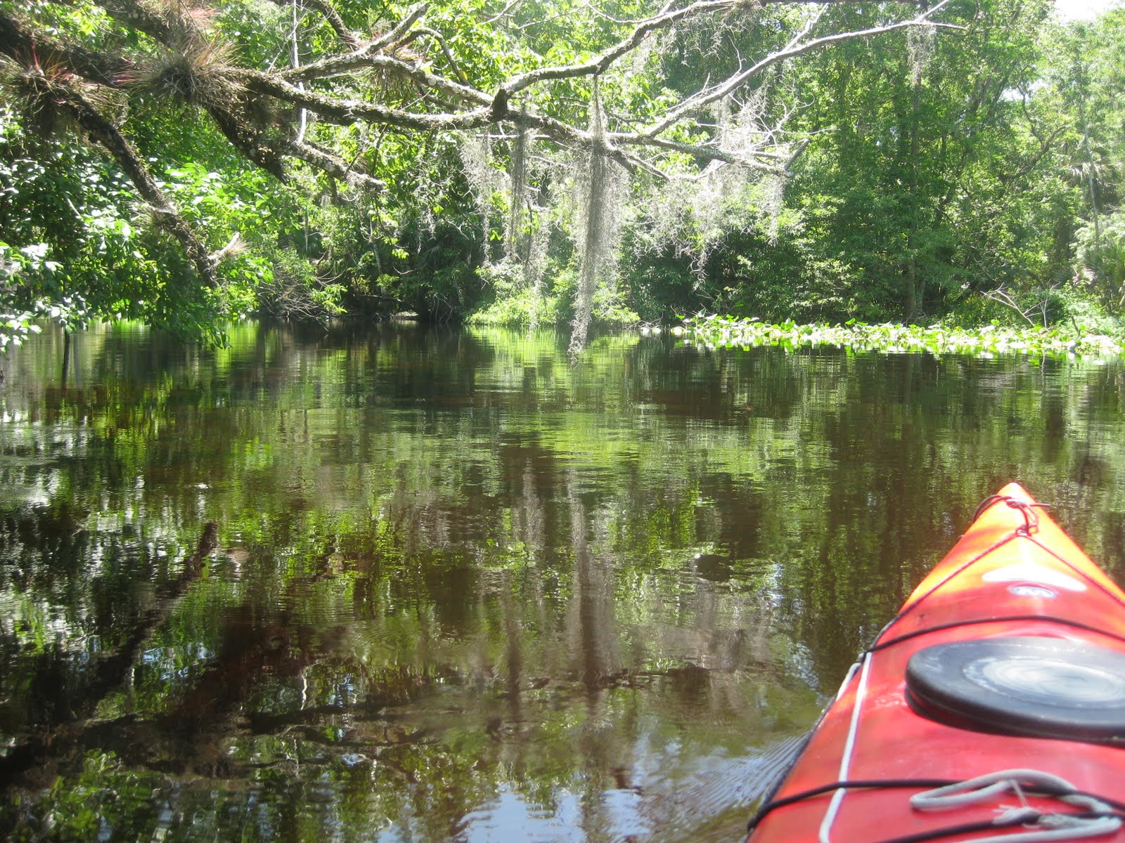 Dave's Yak Tales Lower Wekiva River