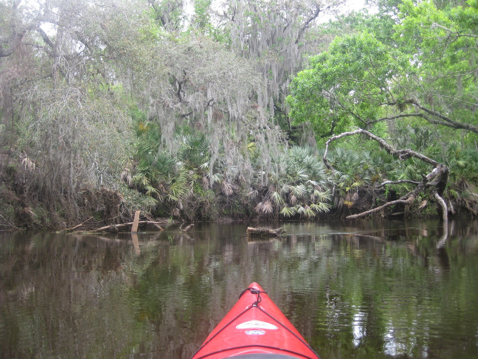 Dave's Yak Tales Turkey Creek