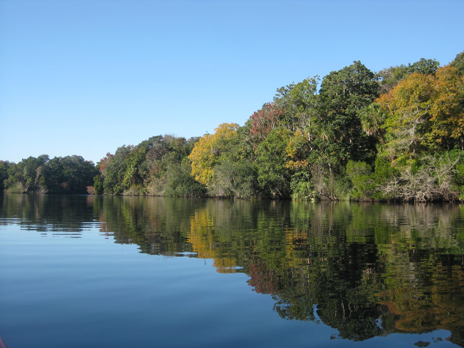 Dave's Yak Tales Chassahowitzka River